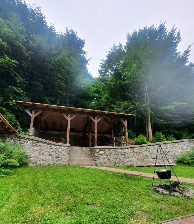 Vila Luca's Cîrţişoara Exterior foto